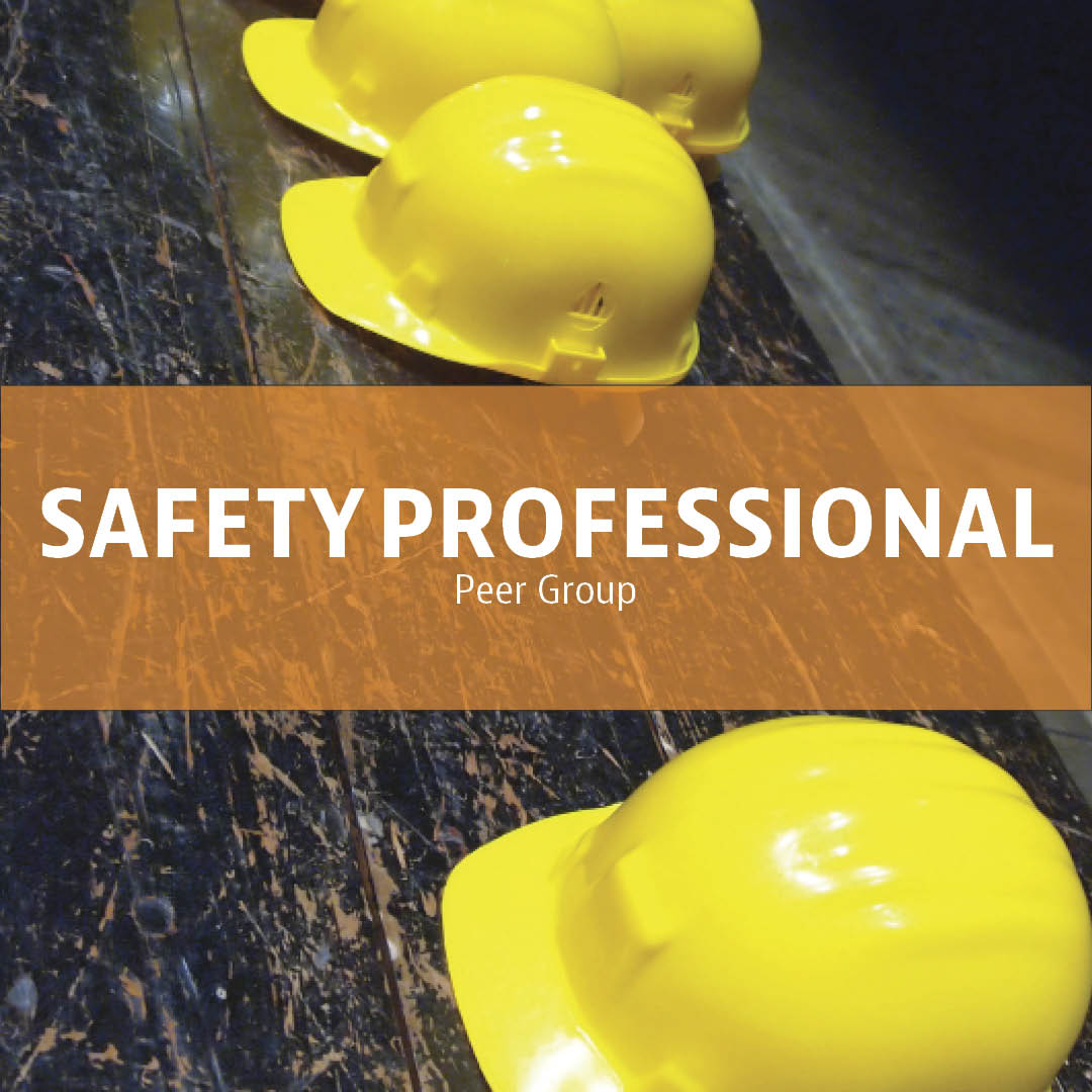 Safety Peer Group